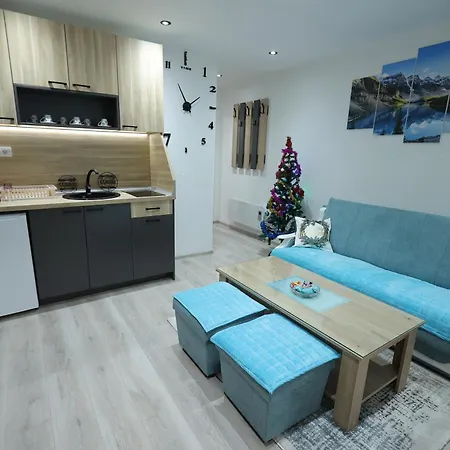 Διαμέρισμα Strahinja Lux *